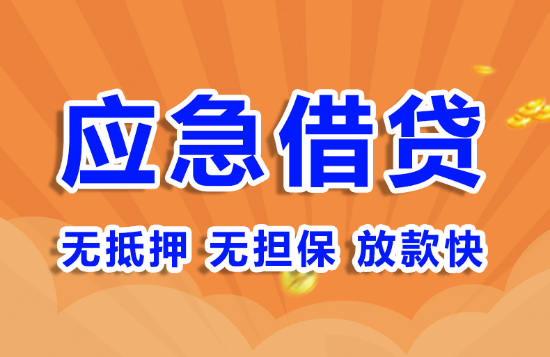 成都市大额空放贷款